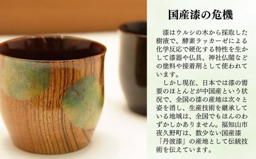＜思いやり型返礼品＞NPO法人丹波漆 1年間個人賛助会員 ふるさと納税プラン (年間個人賛助会員1名様分) ふるさと納税 福知山市 特産品 思いやり型返礼品 協賛型型 植樹 丹波漆 漆 ウルシ 支援 NPO支援 NPO 伝統技術 丹波の漆かき 丹波 【fc-TM003】【NPO法人丹波漆】