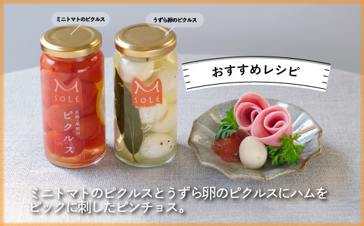 京都・福知山ピクルス (3本セット) ふるさと納税 福知山市 特産品 ピクルス 酢漬け 3本セット 野菜 規格外野菜 万願寺とうがらし うずら卵 ミニトマト 【fc-BV002】【エム・ソーレ】