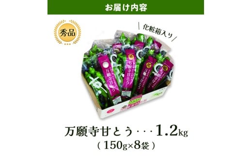  【2026年夏発送分】 万願寺甘とう 化粧箱入 秀品 1.2kg 野菜 万願寺 万願寺とうがらし 甘唐辛子 甘とう 辛くない 夏野菜 緑黄色野菜 伝統野菜 地場野菜 地物 農協直送 京野菜 特産品 詰め合わせ ギフト 旬の野菜 京都産 舞鶴産 京都 舞鶴 舞鶴市JA