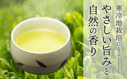 舞鶴茶 青柳（あおやぎ）2袋 600g /300g×2 | 舞鶴茶 舞鶴産青柳 植和田園 番茶 京都 舞鶴 由良川 かぶせ茶 日本茶 国産茶 女性茶農家 茶葉 京都土産 農家直送 産地直送