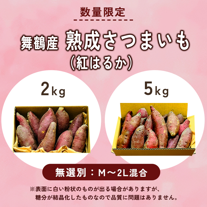 【2027年1月以降発送】 【訳あり】 舞鶴産 熟成さつまいも 2kg （紅はるか） 無選別 M～2L混合  | サツマイモ 完熟 越冬 熟成 焼き芋用 ねっとり 高糖度 無農薬 スイーツ 蜜芋 キュアリング 秋収穫 保存食 京都 舞鶴