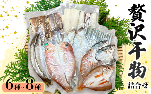 旬の魚 干物セット 贅沢詰合せ 6種〜8種 日本海産 | 干物  高鮮度真空パック 冷凍 個包装 ギフト 贈答用 舞鶴 舞鶴市 京都