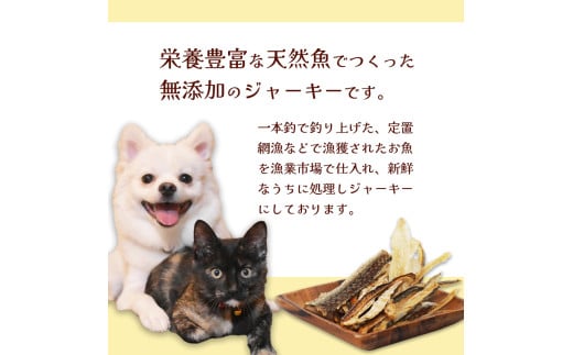 ç¡æ·»å ããããªã®ããããžã£ãŒããŒ5è¢ã»ãã ãããããŒã ãããããã€ ç¬ ç« ããã°ããŒã ãã£ããããŒã ãžã£ãŒã㌠å®å¿ å®å
š ããã ããŒã ãããçšå ãã¥ãŒãã³ã°ã¬ãŒã ã㬠ãã ç¬çš ç«çš é ãã¯ã ã飯 é€ ãšãµ ããã ã«ããã åç© ä¹Ÿç© éé£ ãè€çŸ èé¶Žåž äº¬éœåº