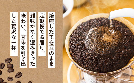 ã6ã¶æå®æäŸ¿ã èªå®¶çç
çç² ãã ãã ã³ãŒããŒè± 400gÃ6å ïŒ200gÃ2è¢ æ¯æ6åïŒ | å®æäŸ¿ 6ã«æãã³ãŒã㌠çç² coffee èªå®¶çç
çç
ãªãªãžãã«ãã¬ã³ã æ°é®® è± çç²è± ã³ãŒããŒè± äŒæ© äžæ¯ äŒæ¥ è±ã®ãŸãŸçŽé èé¶Ž äº¬éœ äº¬éœåº èé¶Žåž