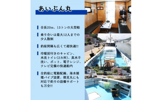 あいぶん丸 釣船 乗船補助券 3,000円分 ： アウトドア 釣り 船 体験 フィッシング 海釣り 船釣り 釣り船 海 乗船券 チケット 利用 若狭湾 マダイ アジ サバ イカ 青物 根魚 青魚 季節の魚 釣果 日本海 京都 舞鶴 関西