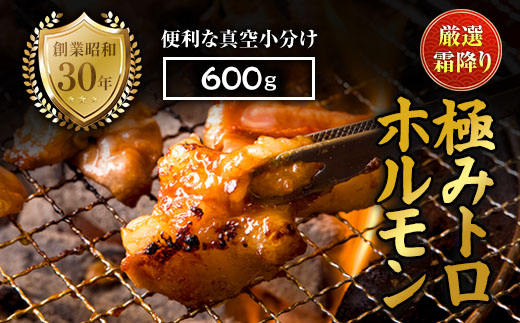 霜降り 極みトロホルモン 600g 秘伝のタレ付き | 国産 極トロホルモン 霜降り ホルモン 冷凍 真空パック 家庭用 ホルモンうどん　八島丹山 京都 舞鶴