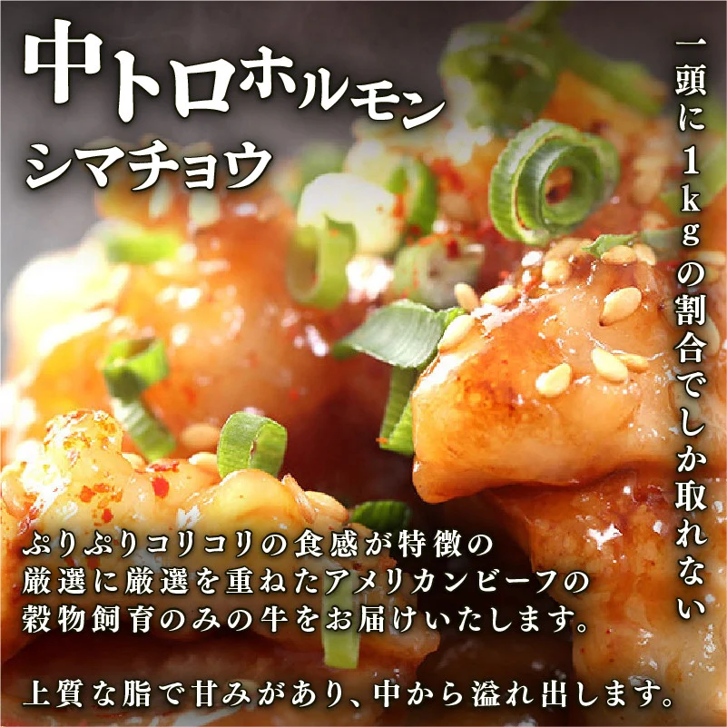 【 訳あり 】 中トロホルモン 西京味噌焼き 3kg ( 100gパック ) トロ 焼肉 牛 西京焼き 味噌 味付 小分け 冷凍 牛 肉 熨斗 贈答 ギフト 希少部位 肉 お歳暮 御歳暮 御中元 お中元 便利 簡単調理 厳選 キャンプ アウトドア 内祝 ほるもん おかず 味付けホルモン 肉 舞鶴 西京焼き 幸福亭