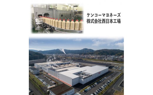 サラダのプロがつくった サラダ 2種類 セット 40袋 個包装 マカロニサラダ 金ごま ごぼうサラダ レトルト パウチ 小分け お弁当 ご飯 おかず サラダ 食べ切り サイズ ケンコーマヨネーズ