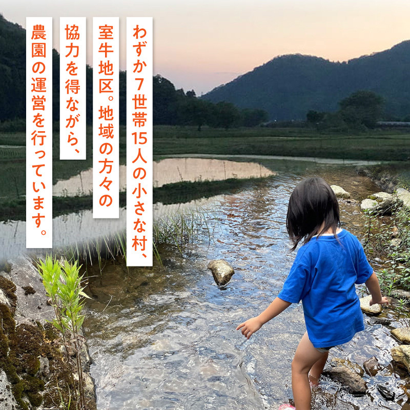 ブルーベリー カヌレ 5個 Blueberry valley Maizuru産ブルーベリーを使用 | 特製カヌレ ブルーベリーカヌレ ブルーベリーバレーまいづる スイーツ ギフト お取り寄せ 冷凍カヌレ 手土産