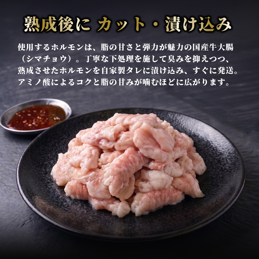 国産 上ホルモン 900g | 国産 牛肉 シマチョウ 大腸 ホルモン モツ 冷凍 焼き肉 BBQ 本格 自家製タレ 韓国唐辛子 味噌ダレ 漬け肉 京都府舞鶴市