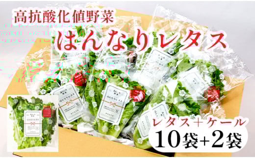 みらい乃野菜 はんなりレタス 10袋 + おケールハン 2袋 12袋 720g
