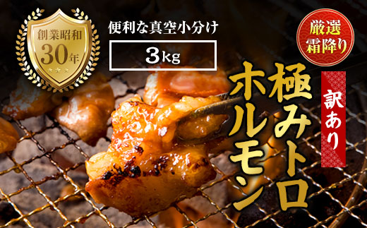 【訳あり】霜降り 極みトロホルモン3kg 秘伝のタレ付き | 国産 訳あり極トロホルモン 訳あり 霜降り ホルモン 冷凍 真空パック 家庭用 ホルモンうどん　八島丹山 京都 舞鶴