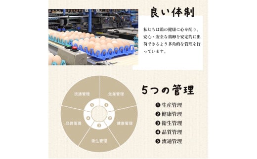 京の贈り物 卵 40個 無選別 MS〜LL 京の贈り物 割れ保証あり 玉子 たまご 鶏卵 甘い 赤卵 まとめ買い 新鮮 直送 冷蔵 木酢液 たくさん オムレツ 卵かけ ゆで卵 朝食 料理 人気 三和鶏園 京都 舞鶴 5,000円 好評 まとめ買い 新鮮 直送 クール便 木酢液 栄養 だし巻き卵 卵料理 卵かけ 卵かけごはん TKG エッグ egg オムレツ ゆで卵 目玉焼き 生卵