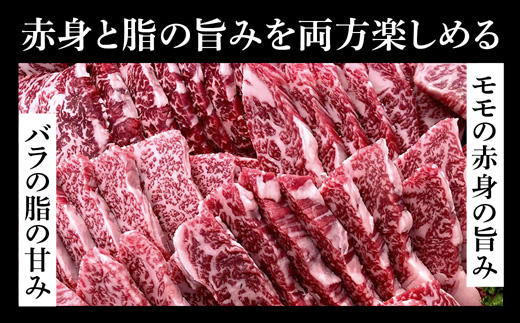 厳選 国産 黒毛和牛 A5 タレ漬け 焼肉用 モモ バラ 600g 牛肉 熨斗 贈答 熨斗 御歳暮 お歳暮 ギフト 味付け肉 牛 モモ肉 バラ肉 焼き肉 精肉店 BBQ 冷凍