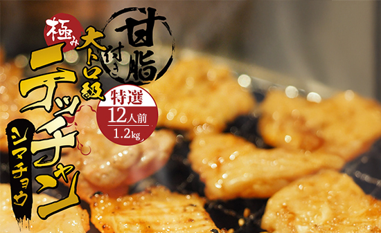 極み シマチョウ テッチャン 1.2kg 附属タレ付き | タレ揉み 冷蔵 甘脂付き 焼肉 もつ鍋 中元 ギフト お祝い