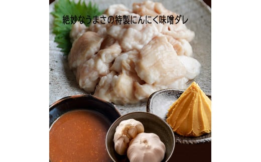 【 訳あり 】 中トロ ホルモン 3kg(250g×12) にんにく 味噌味 トロ 焼肉 牛 西京焼き 味噌 味付 小分け 冷凍 牛 肉 熨斗 贈答 ギフト 希少部位 肉 お歳暮 御歳暮 御中元 お中元 便利 簡単調理 厳選 キャンプ アウトドア 内祝 ほるもん おかず 味付けホルモン 肉 舞鶴 西京焼き 幸福亭