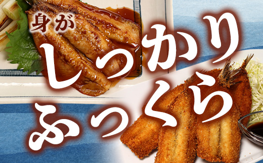 èé¶Žç£ ç¡å¡©ãããéã 20å°Ÿ 骚æã ãã©åçµ ã¬ã·ãä»ã | é°¯ ç¡å¡© éã 骚æã ãã© å·å æµ·é®® éä» å¹²ç© äº¬éœ èé¶Žåž