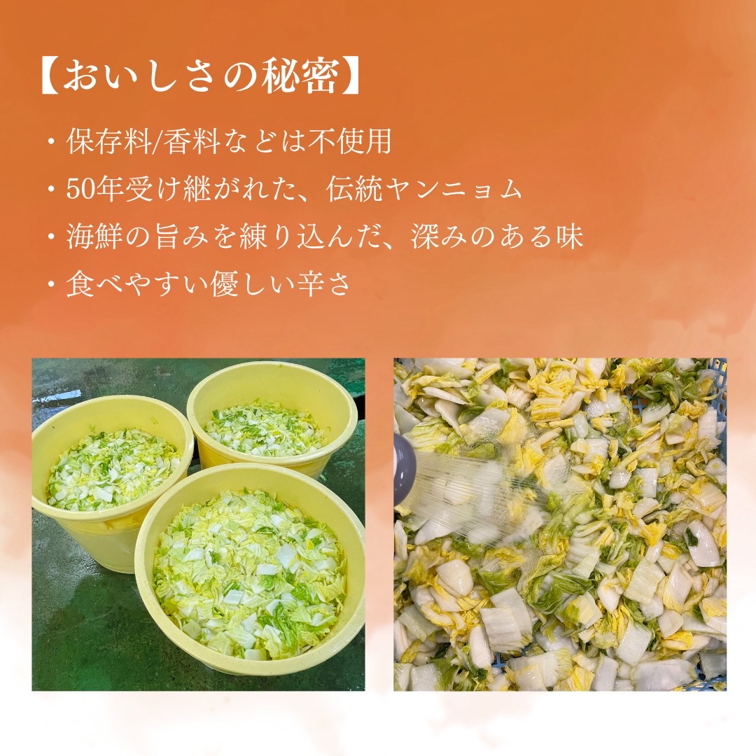 母ちゃんのキムチ 750g （150g×5袋） 冷凍 | 韓国キムチ 白菜キムチ キムチ 個包装 本場 伝統 おすすめ 人気 京都府 舞鶴市 京都 舞鶴