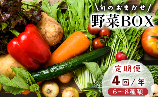 【4回定期便】 京都 舞鶴 季節の野菜BOX 詰め合せ セット 6〜8種類 年4回 定期便 ： 季節の野菜 旬の野菜 旬野菜 新鮮 京野菜 食品 冷蔵 八百屋 厳選 産地直送 やさい ベジタブル ボックス 野菜セット