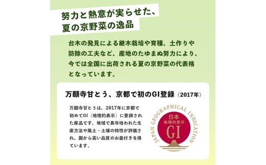 ã2026幎å€çºéåãäžé¡å¯ºçãšã åç²§ç®±å
¥ ç§å 1kg éžã¹ã容é éè å€éè æ¬ å°å Žç£ å°å Žéè å°å
éè çºç¥¥ äŒçµ± 京éè äŒçµ±éè äžé¡å¯ºãšãããã