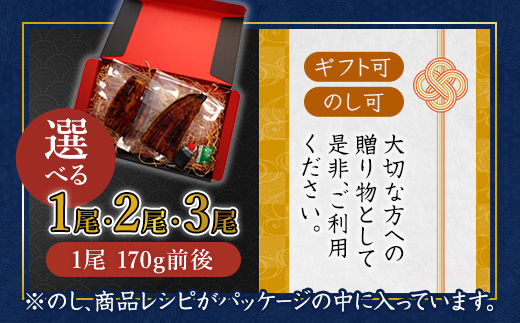 浜名湖産 うなぎ蒲焼き 特製タレ付き 1尾 | うなぎ 蒲焼き 国産 浜名湖産 ギフト プレゼント 贈答用 冷凍 土用の丑の日 うな丼 特製タレ 職人手焼き 関東風 うなぎの蒲焼 鰻京都 舞鶴