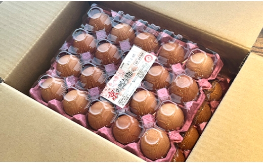 【定期便】毎月/６回 卵 合計480個 無選別 MS〜LL 京の贈り物 20個×4パック×6回 60,000円