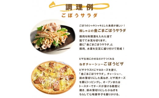 サラダのプロがつくった サラダ 2種類 セット 40袋 個包装 ポテトサラダ ポテサラ 金ごま ごぼうサラダ レトルト パウチ 小分け お弁当 ご飯 おかず サラダ 食べ切り サイズ ケンコーマヨネーズ