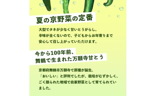 ã2026幎å€çºéåãäžé¡å¯ºçãšã åç²§ç®±å
¥ ç§å 2kg éžã¹ã容é éè å€éè æ¬ å°å Žç£ å°å Žéè å°å
éè çºç¥¥ äŒçµ± 京éè äŒçµ±éè äžé¡å¯ºãšãããã