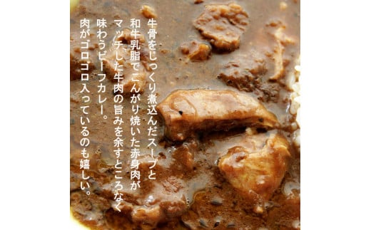 マウンテン ビーフカレー 中辛 ５食セット 牛肉 レトルト レトルトカレー 常温保存 カレー 舞鶴 京都 お取り寄せ グルメ 中辛カレー カレーライス 