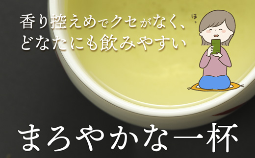 舞鶴茶 青柳（あおやぎ）3袋 900g /300g×3 | 舞鶴茶 舞鶴産青柳 植和田園 番茶 京都 舞鶴 由良川 かぶせ茶 日本茶 国産茶 女性茶農家 茶葉 京都土産 農家直送 産地直送