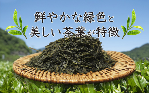舞鶴茶 上煎茶 2袋 400g /200g×2 | 舞鶴茶 緑茶 日本茶 国産茶 植和田園 上煎茶 京都 舞鶴 由良川 甘み うま味 高級茶 家庭用 ギフト 健康 女性茶農家 茶葉 京都土産 農家直送 産地直送