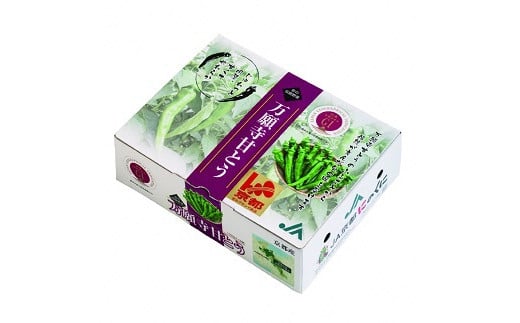  【2026年夏発送分】 万願寺甘とう 化粧箱入 秀品 1.2kg 野菜 万願寺 万願寺とうがらし 甘唐辛子 甘とう 辛くない 夏野菜 緑黄色野菜 伝統野菜 地場野菜 地物 農協直送 京野菜 特産品 詰め合わせ ギフト 旬の野菜 京都産 舞鶴産 京都 舞鶴 舞鶴市JA