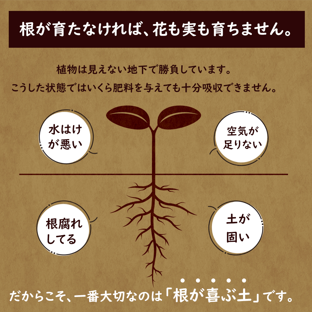 ãããŒãã å壿¹è¯æ èé¶Žãã¬ã³ã 3kg | 倩ç¶çŽ æ åã¥ãã æ ¹è
ã鲿¢ å®¶åºèå å¹é€å ææ© ç¡èŸ²è¬æ œå¹ã« éèã¥ãã å壿¹è¯ 竹ç ãã¿æ®»ç»ç çºé
µç«¹ããã ãã©ã³ã¿ãŒ ç ã¬ãŒããã³ã° äº¬éœ èé¶Ž