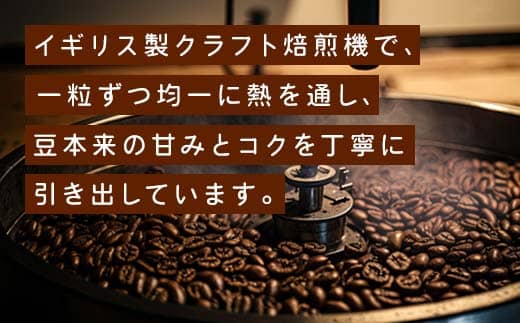 舞鶴セットtazu「鶴」ドリップコーヒー 5個 ＆ コーヒー豆 100g | きぶん屋珈琲 コーヒー豆 ドリップ珈琲 鶴 自家焙煎   個包装 1袋ずつ クラフト焙煎機 オリジナルブレンド 舞鶴市 京都府 ギフト 包装 熨斗対応