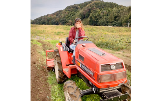 【2026年夏発送】京野菜 「万願寺とうがらし」 からくない！肉厚甘い 逸品 箱入り 2kg 4人以上用 伝統野菜 とうがらし 万願寺 ピーマン 大型 野菜 夏野菜 農家直送 揚げ物 炒め物 煮物 レシピ付き京都 舞鶴