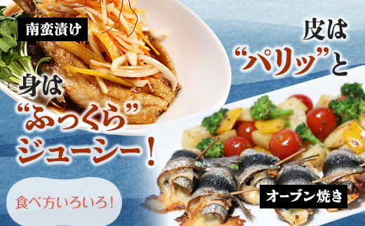 èé¶Žç£ ç¡å¡©ãããéã 20å°Ÿ 骚æã ãã©åçµ ã¬ã·ãä»ã | é°¯ ç¡å¡© éã 骚æã ãã© å·å æµ·é®® éä» å¹²ç© äº¬éœ èé¶Žåž