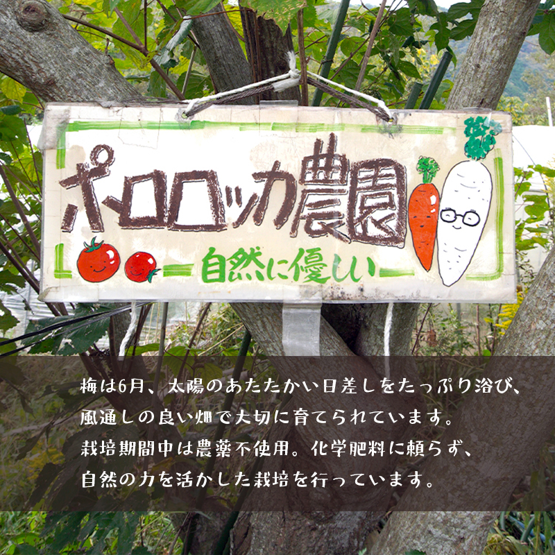 無添加 梅干し 減塩 小分け 1kg 肉厚 大きい すっぱい 舞鶴産 うめぼし お取り寄せ 漬物 南高梅 田舎 昔ながら 減塩８％ 塩分控えめ 手作り 手づくり こだわり 厳選 健康志向 ご飯 産地直送 京都 舞鶴 舞鶴市 ポロロッカ農園期間中農薬不使用