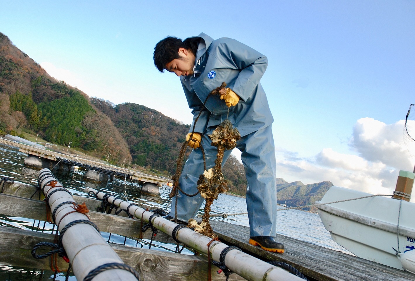 【2026年2月中旬以降発送】殻付き 養殖 真牡蠣 4kg 加熱用 朝どれ直送！先行予約 岡山八朗兵衛商店 : 二枚貝 牡蠣 かき オイスター 殻付き牡蠣 生牡蠣 活牡蠣 カキ 海鮮 魚介 海産物 海の幸  漁師直送 ナイフ付き