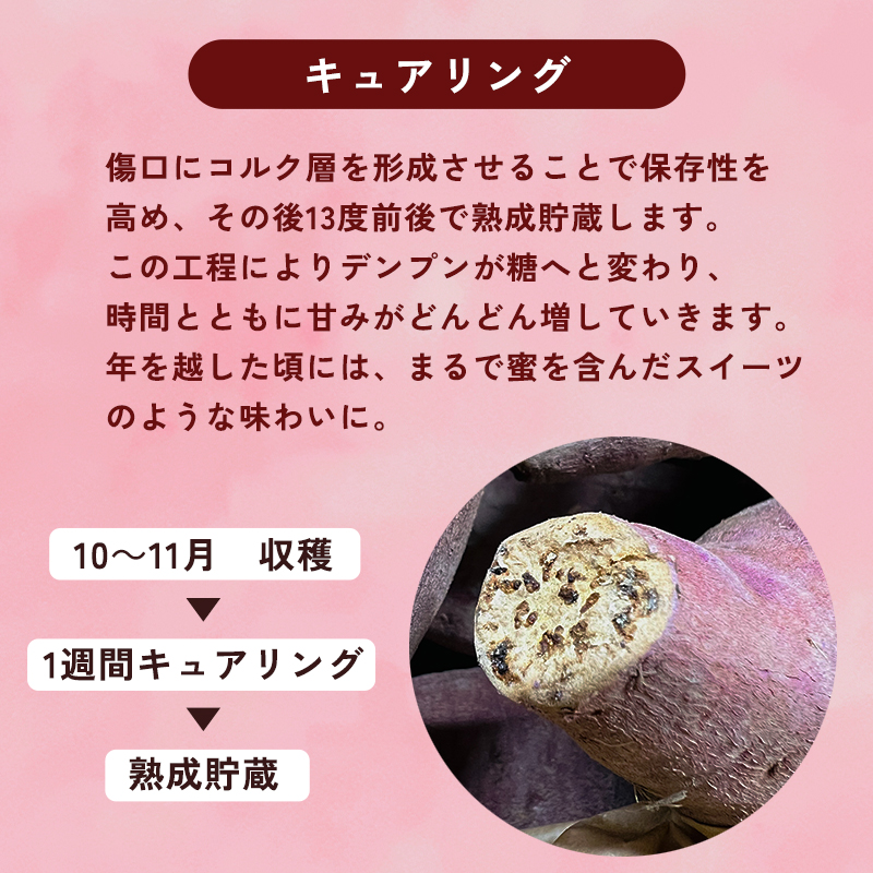【2027年1月以降発送】 【訳あり】 舞鶴産 熟成さつまいも 2kg （紅はるか） 無選別 M～2L混合  | サツマイモ 完熟 越冬 熟成 焼き芋用 ねっとり 高糖度 無農薬 スイーツ 蜜芋 キュアリング 秋収穫 保存食 京都 舞鶴