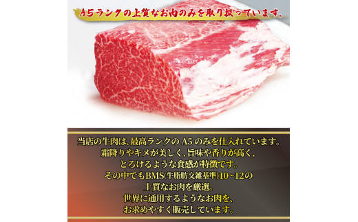 訳あり 国産 黒毛和牛 手ごね ハンバーグ 140g×5個 A5  A5ランク 小分け 個包装 真空パック 個包装 冷凍 人気 おすすめ お取り寄せ おすすめ 人気 ギフト 贈り物 プレゼント 贈答 好評 京都 舞鶴 舞鶴市 ABCフーズ好評 舞鶴市 京都府