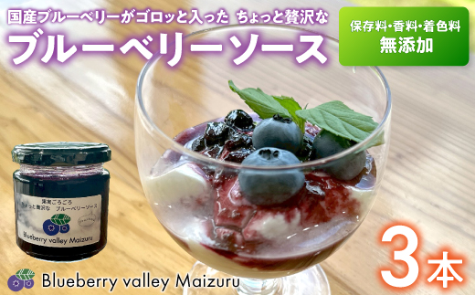 ブルーベリーソース 3本 国産 ブルーベリー ソース  保存料・着色料・添加物不使用 | ブルーベリージャム 3本セット  甘さ控えめ 保存料 着色料 添加物不使用 フルーツソース スイーツ ギフト お取り寄せ
