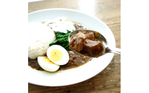 マウンテン ビーフカレー 中辛 ５食セット 牛肉 レトルト レトルトカレー 常温保存 カレー 舞鶴 京都 お取り寄せ グルメ 中辛カレー カレーライス 