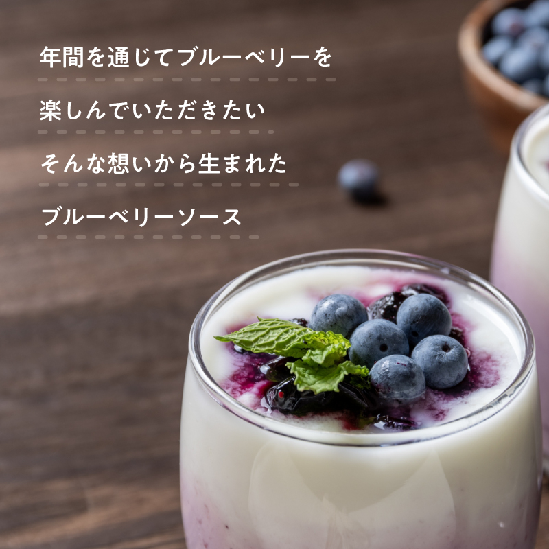 ブルーベリーソース 3本 国産 ブルーベリー ソース  保存料・着色料・添加物不使用 | ブルーベリージャム 3本セット  甘さ控えめ 保存料 着色料 添加物不使用 フルーツソース スイーツ ギフト お取り寄せ