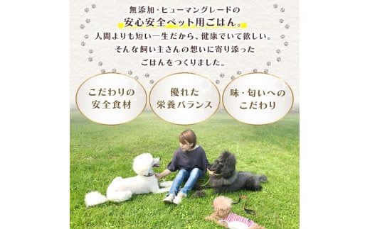 ペットフード 甘酒 amazake 4袋 犬 猫 ドッグフード キャットフード ペットフード あまざけ スープ 水分補給 ペット用品 ヒューマングレード いぬ ねこ 犬用 猫用 自然食材 ごはん ご飯 餌 エサ 健康 健康食品 舞鶴市 京都府