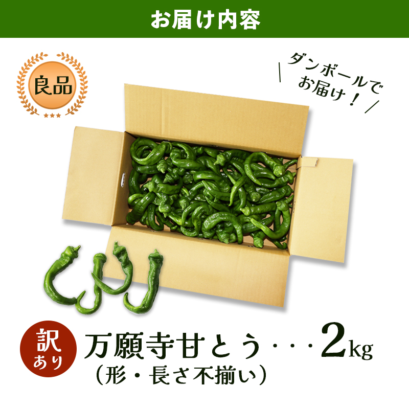 ãèš³ããã äžé¡å¯ºçãšã è¯å 2kg | 圢ã»é·ãäžæã èŸããªã京éè å€éå® å³èŠ èå ãžã¥ãŒã·ãŒ 京éœç£ æ¬ å£ç¯ã®éè è©°ãåãã 京ã®ãã©ã³ãç£å 京éè äžé¡å¯º ãŸãããã éè å€éè ãåç£ æåç£ JA äº¬éœ ç¶Ÿéš