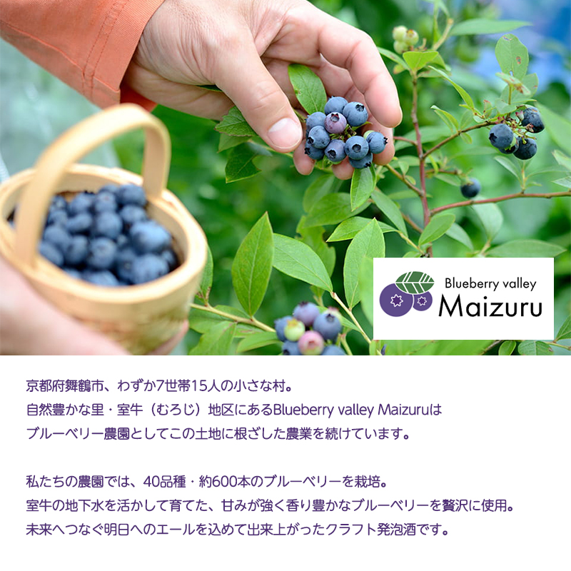 ãã«ãŒããªãŒãã©ã€ãšãŒã« 330mlÃ3æ¬ | ãã«ãŒããªãŒ åœç£ çºæ³¡é
å°ããŒã« ã¯ã©ããããŒã« ãã«ãŒãããŒã« å°ããŒã« ãã«ãŒããªãŒããŒã« åœç£æå® 女æ§åã ã®ãã æåç£ ãã«ãŒãã£ãŒ ããŒã« ãšãŒã« å·èµ 京éœåºèé¶Žåž