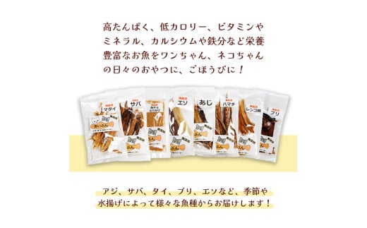 ç¡æ·»å ããããªã®ããããžã£ãŒããŒ3è¢ã»ãã ãããããŒã ãããããã€ ç¬ ç« ããã°ããŒã ãã£ããããŒã ãžã£ãŒã㌠å®å¿ å®å
š ããã ããŒã ãããçšå ãã¥ãŒãã³ã°ã¬ãŒã ã㬠ãã ç¬çš ç«çš é ãã¯ã ã飯 é€ ãšãµ ããã ã«ããã åç© ä¹Ÿç© éé£ ãè€çŸ èé¶Žåž äº¬éœåº