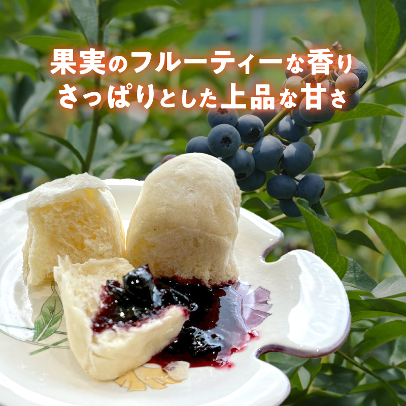 ブルーベリーソース 3本 国産 ブルーベリー ソース  保存料・着色料・添加物不使用 | ブルーベリージャム 3本セット  甘さ控えめ 保存料 着色料 添加物不使用 フルーツソース スイーツ ギフト お取り寄せ