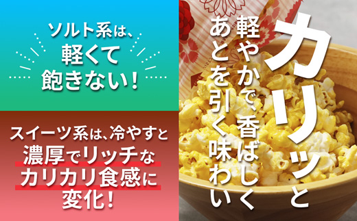 ジェリーズ ポップコーン 人気フレーバー 9個 詰め合わせ セット Mサイズ | ポップコーン 9個 9種類 キャラメル うま塩 バター醤油 梅かつを チョコキャラメル いちごミルク ブラックペッパー キャラメルナッツ チョコレート ハロウィン クリスマス バレンタイン 合成着色料不使用 おやつ スイーツ 冷やして美味しい カリカリ プレゼント 映画 差し入れ 贈り物 お菓子 手土産