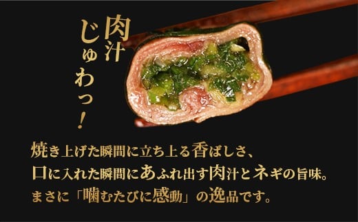 手包み 肉汁 ネギ 塩タン 8個入 牛たん タン 牛 牛肉 ビーフ 塩味 厳選 人気 焼肉 冷凍 小分け 高級 ギフト 人気 贈答用 美味しい お勧め お中元 お歳暮 舞鶴市 京都府